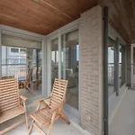 In Near The * Knokke-Heist