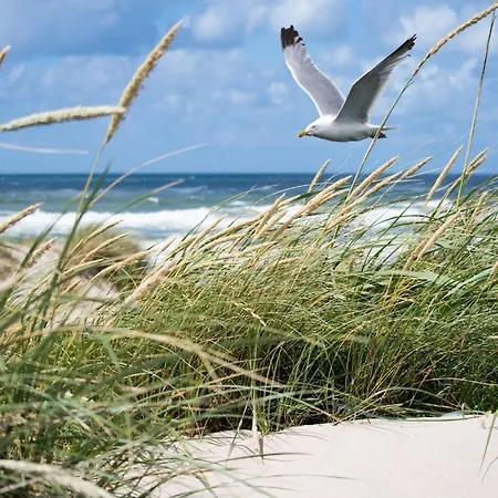 In Near The Knokke-Heist