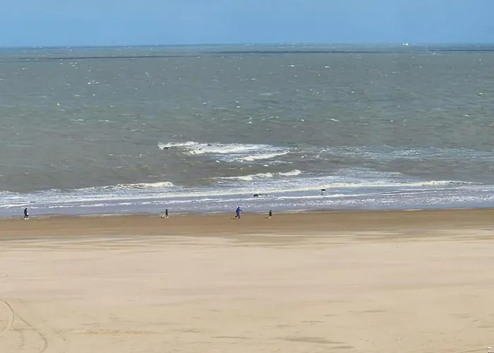 In Near The Lejlighed