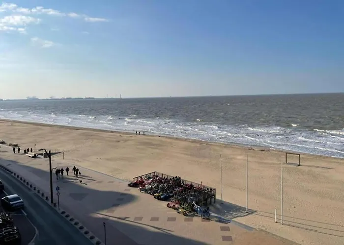 Lejlighed In Near The *