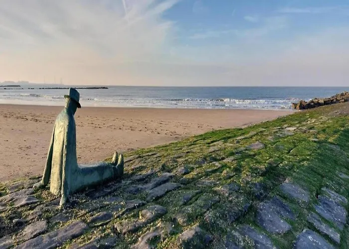 Apartamento In Near The