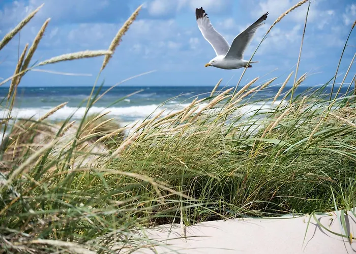 In Near The Knokke-Heist